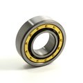 Tritan Cylindrical Roller Bearing, Removable Inner Ring, 95mm Bore Dia., 170mm Outside Dia., 2.1875-in. W A5219TS (NU5219M/C3)